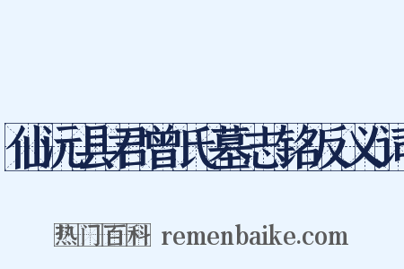 仙沅县君曾氏墓志铭反义词是什么意思的图片